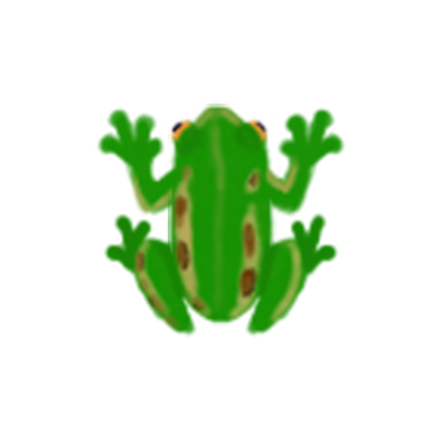 frog